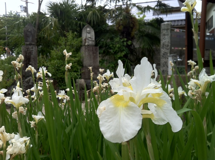 和泉式部のお墓